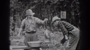Chelan Washington USA (1939): Farming And Work In The Early Periods Of The Century