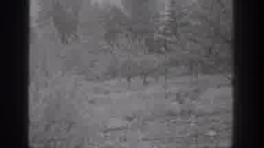 Chelan Washington USA (1939): Snowy Landscape Filmed In Black And White