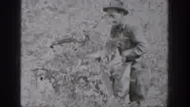 Chelan Washington USA (1939): Man Picking Cotton Putting Bag Two Guys Turning