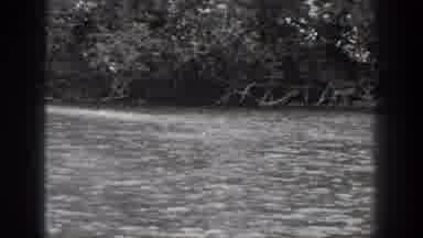 Chelan Washington USA (1939): A Beautiful Day For A River Trip Around The Forest