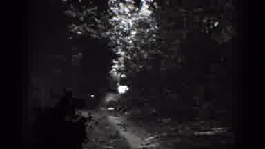 Chelan Washington USA (1939): Grainy Woods Fading To Water