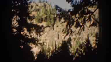 Chelan Washington USA (1939): Man Fishing In A River Wearing Red Shirt In The