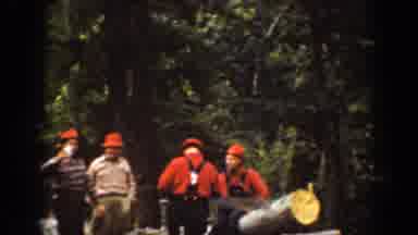 Chelan Washington USA (1939): A Group Of Peoples Were Cutting The Huge Wood For