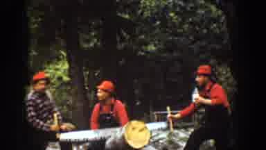 Chelan Washington USA (1939): Men With Old Style Two-Man Felling Saw Moving Blade