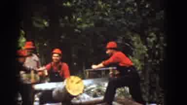 Chelan Washington USA (1939): Four Men Work Together To Saw A Tree Log, As They