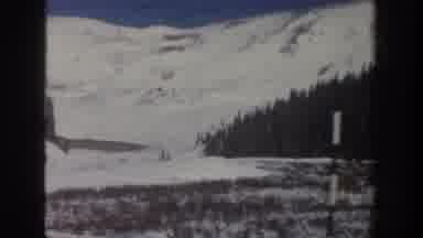 Aspen Colorado USA (1961): Tall Snow Covered Mountain Behind Trees