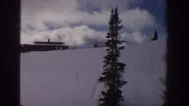 Aspen Colorado USA (1961): Snow Covered Area With House And Trees Nearby Showing