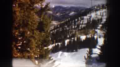 Aspen Colorado USA (1961): Alpine Trees In The Mountains With Lots Of Snow