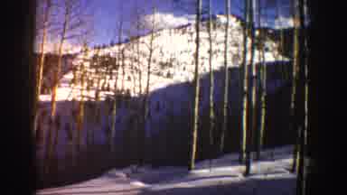 Aspen Colorado USA-1961: Winter Landscape with Snow-Covered Mountains and Aspen Trees