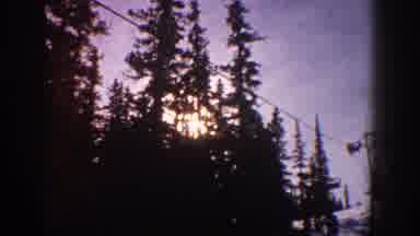 Aspen Colorado USA (1961): The Sun Shining Through Tall Pines While A Skier Goes