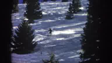Aspen Colorado USA (1961): Talented Skier Carves Around Large Trees While Skiing