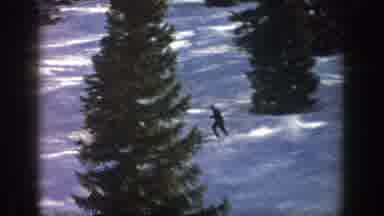 Aspen Colorado USA (1961): A Person Skiing Around Near Trees And Having A Ton Of