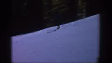 Aspen Colorado USA (1961): A Young Woman Skis Down A Slope And A Young Man Skis