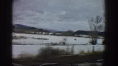 Aspen Colorado USA (1961): View Of Nature Area