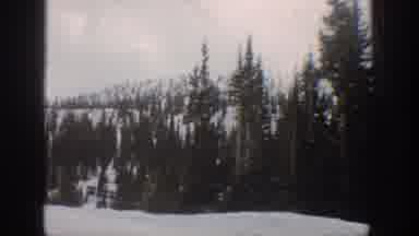 Aspen Colorado USA (1961): Snowy Road Through Forest Full Of Evergreen Trees And