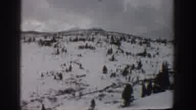Aspen Colorado USA (1961): Arctic Landscape Of Snow And Trees With A Truck