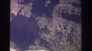 New Mexico USA (1951): Mountainside And Trees