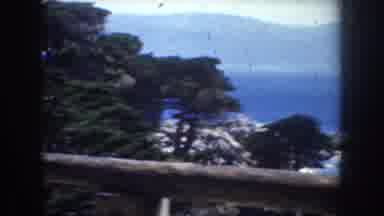 California USA (1952): Driving By The Sea, Where A Man Climbs An Uprooted Tree