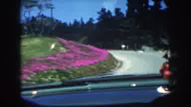 California USA (1952): The Beautiful Garden With Flowers Is Fun For The Children
