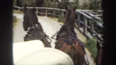 California USA (1952): Riding Horse