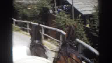California USA (1952): Horse Drawn Carriage Ride In The Old Days Near A Farm