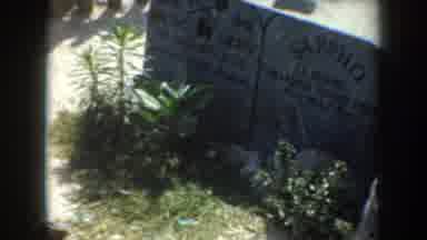 California USA (1952): Video Of A Beach In Summer
