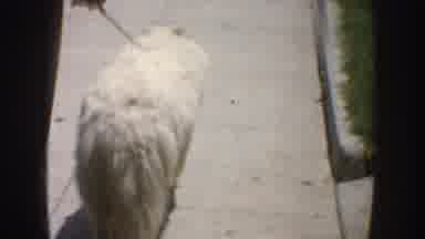 California USA (1952): March In The City