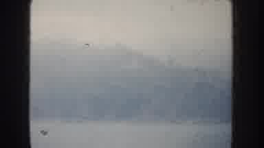 California USA (1952): Speed Boat Navigating At The Bay During A Summer Day