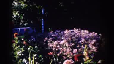 South Dakota USA (1953): Garden Of Flowers