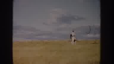 South Dakota USA (1953): The Yellow Fields Enhance My Calm As Cody And I Make Our