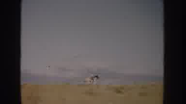 South Dakota USA (1953): View Of Person Riding Spotted Horse Through Dusty Field