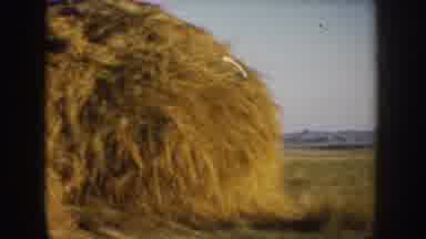 South Dakota USA (1953): Farm Teens Posing For The Camera