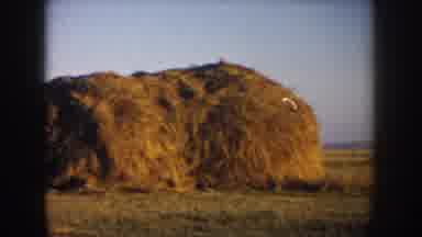 South Dakota USA (1953): Large Bail Of Hay And A Large Man Made Object To Haul It
