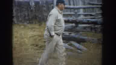 South Dakota USA (1953): Rancher Surveys Cattle Feeding In An Abandoned Hay Field