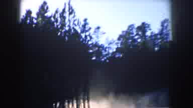 South Dakota USA (1953): Travel Wind Forest Dense Crowd Green Tall Trees Mountain