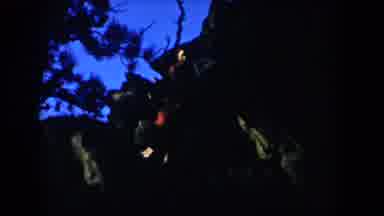 South Dakota USA (1953): Two People Descending A Mountain Trail Together In The