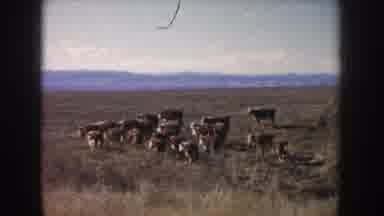 South Dakota USA (1953): Home On The Range