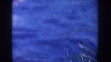South Dakota USA (1954): Woman Playing Having Fun Outdoors In Water Throwing