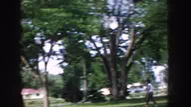 Idaho USA (1955): Open Park Oak Trees Public Land