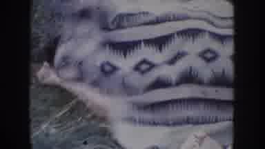 South Dakota USA (1955): The Person Is Sleeping In The Garden