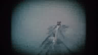 South Dakota USA (1956): Mountain Paths Are Dangerous For Those Who Don't Know Him