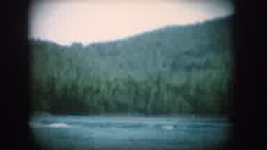 South Dakota USA (1956): A Person Being Pulled On A Water Ski In A Lake With Trees