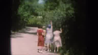 South Dakota USA (1956): Four Women Plucking Berries From A Bush Or Tree And One