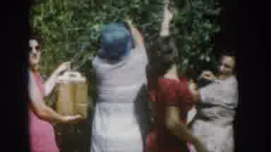 South Dakota USA (1956): Don't Mess With The Ladies We Are Busy Picking Berries