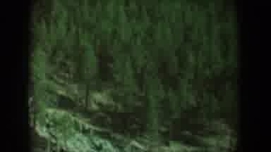 South Dakota USA (1956): Trees Mountain Green Outdoors Fresh Air Wild Nature