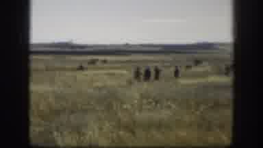 Kansas USA (1958): Man Walking In The Forest