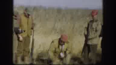Kansas USA (1958): Is That A Pheasant Or A Quail? It Does Not Look Too Happy