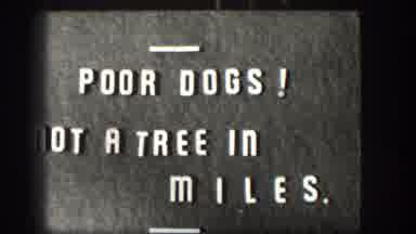 Kansas USA (1958): A Sign Warning Of No Trees, And Then A Pan Out To Grasslands