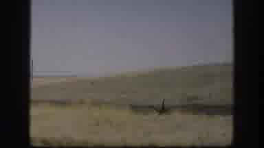 Kansas USA (1958): Dirt Road Alongside Vast Meadow And Farm Crops With Open Blue