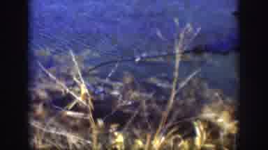 Kansas USA (1958): Fish Man Nature Lake Food